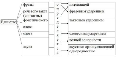 Укажите что является основной фонетической единицей