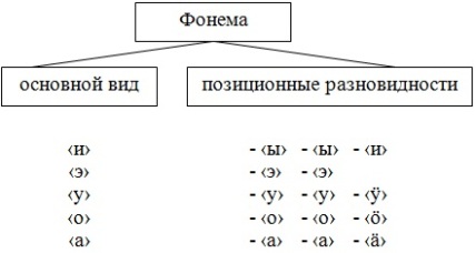 Фонема. Основной вид фонемы а. Фонемы русского языка. Основным вариантом фонемы. Основной вариант фонемы это.